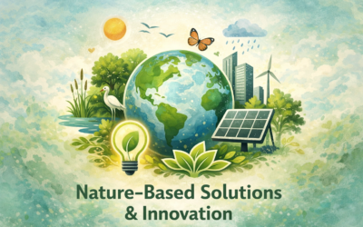 Nature-based solutions, innovation, and sustainability